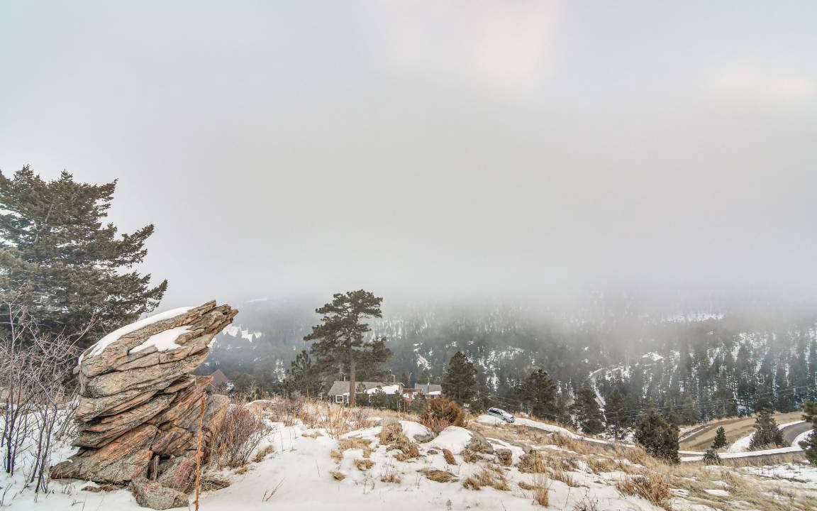 Photo of Others in Evergreen