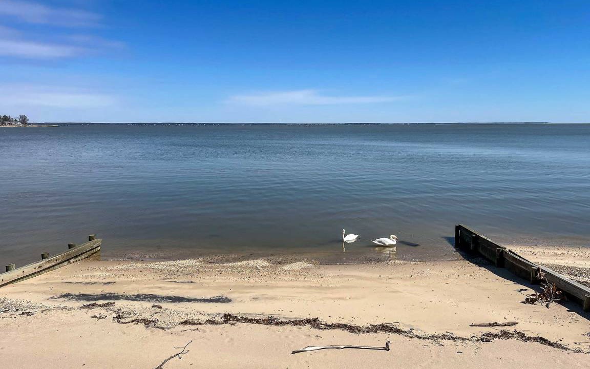 Photo of Others in Colonial Beach
