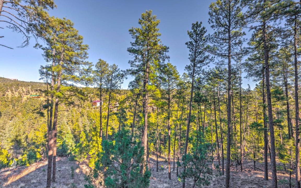 Photo of Others in Ruidoso