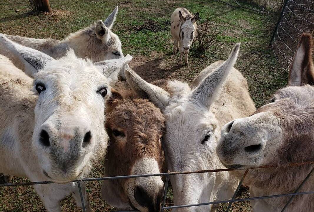 Photo of Others in Waynesboro