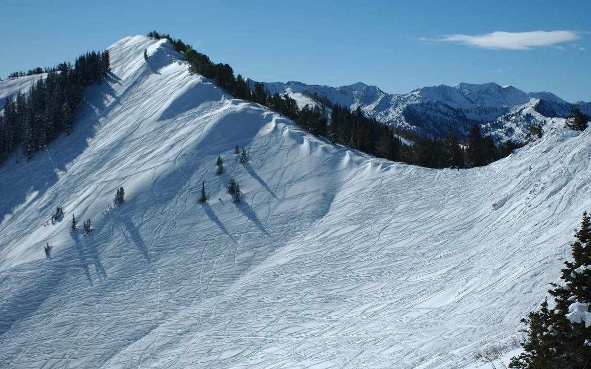 Photo of Others in North Park City