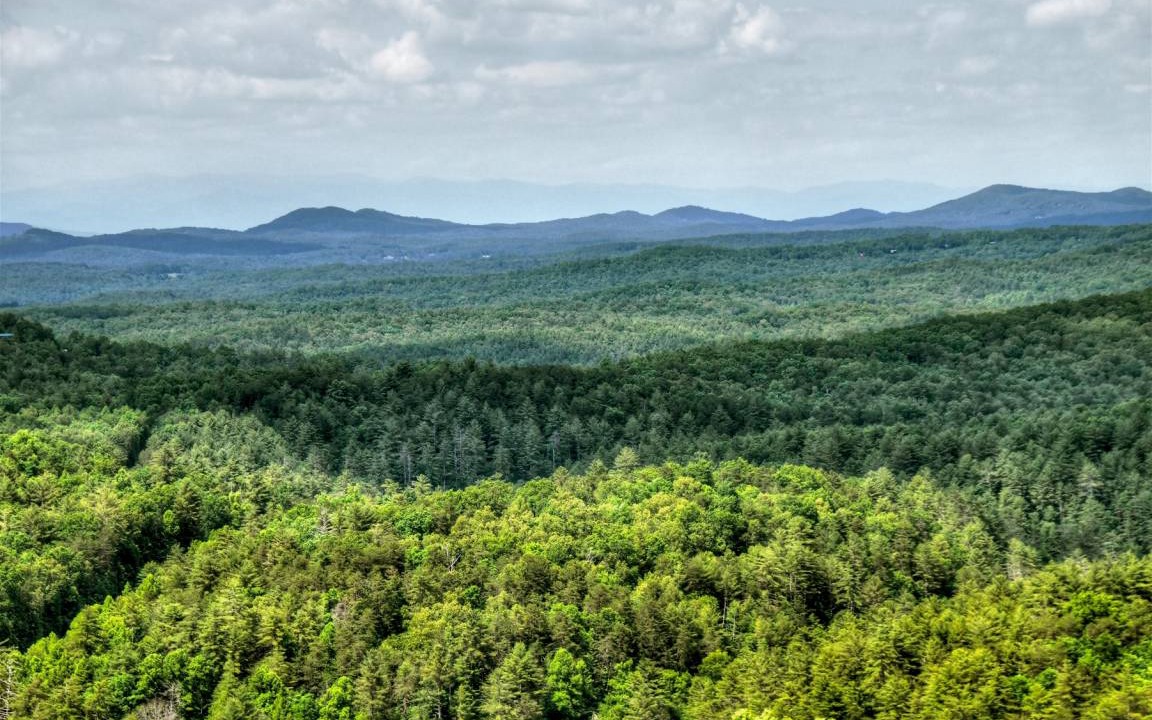Photo of Outdoor in Raccoon Ridge