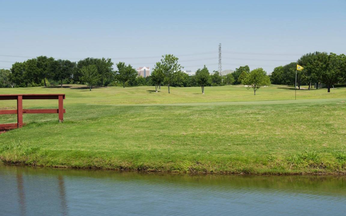 Photo of Others in League City
