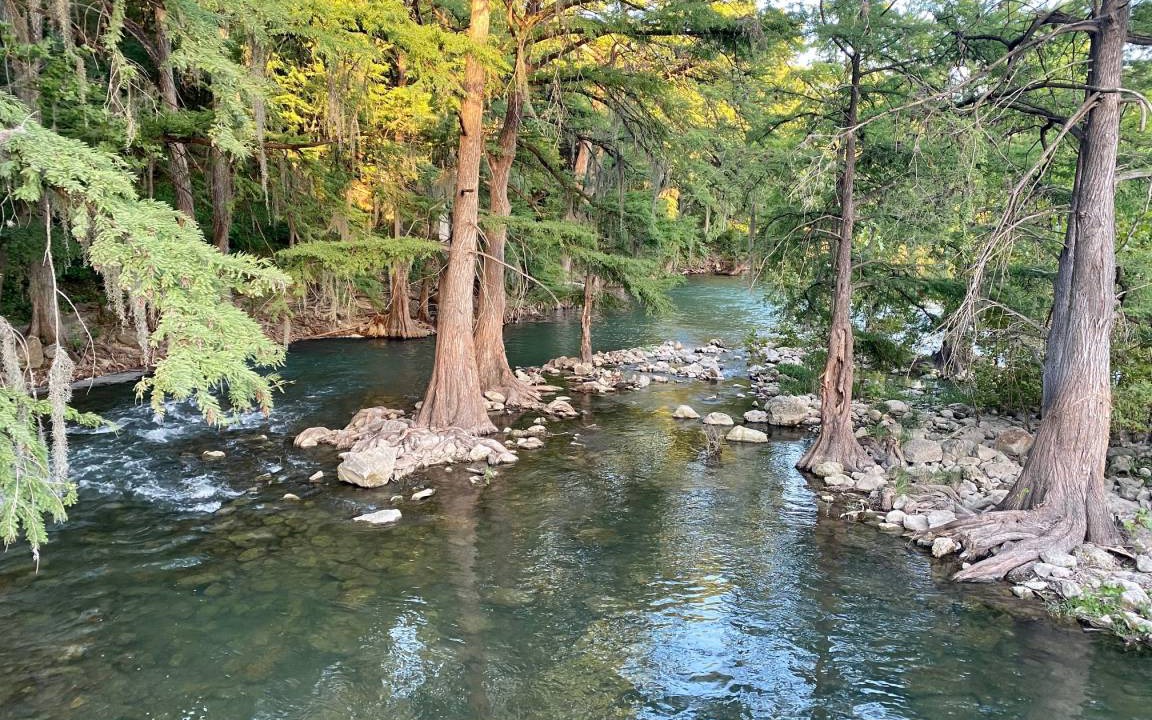 Photo of Others in Gruene