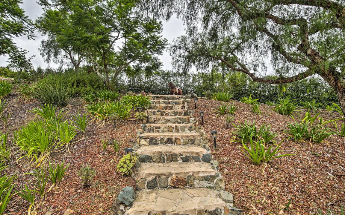 Photo of Others in Escondido