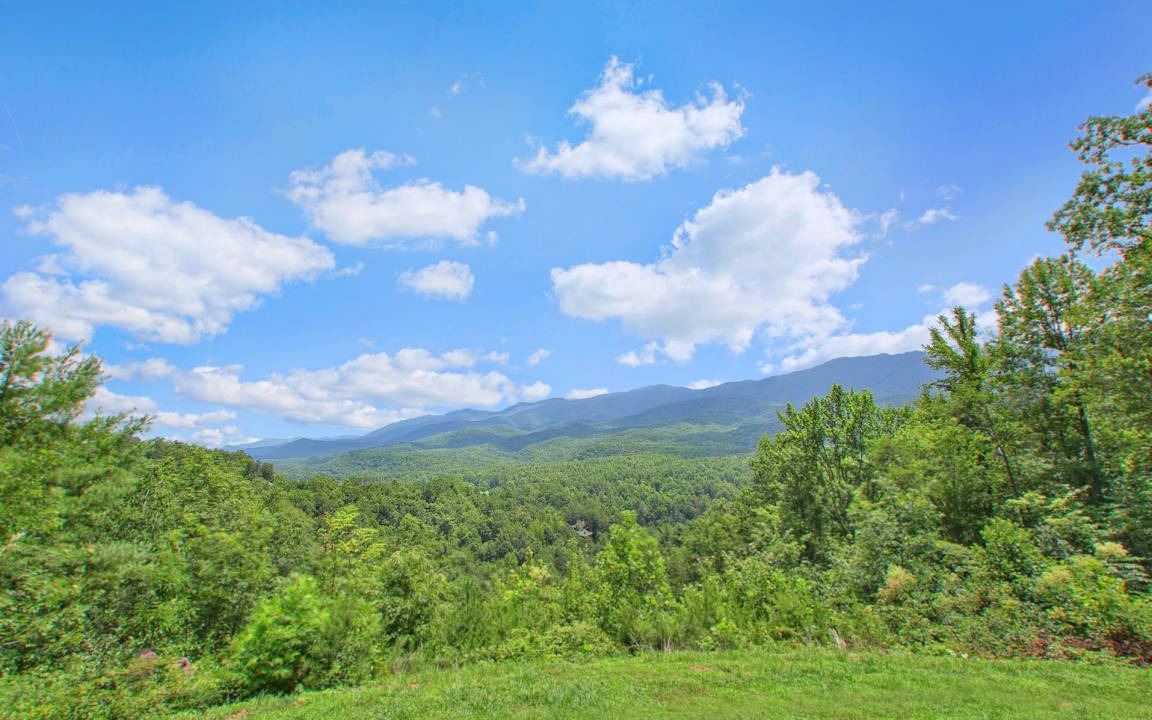 Photo of Outdoor in Pittman Center
