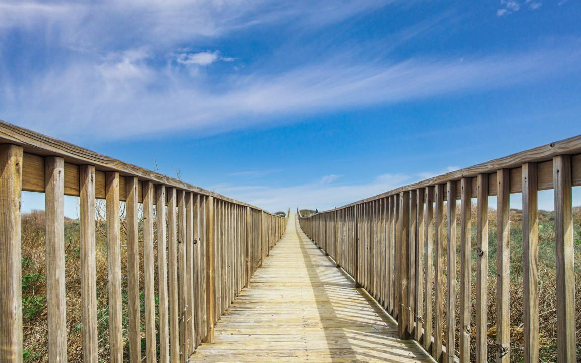 Photo of Others in Port Aransas