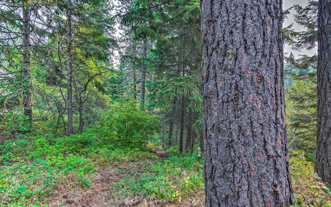 Photo of Others in Cle Elum