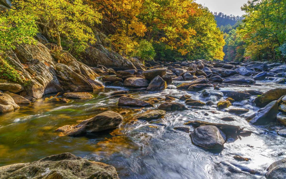 Photo of Others in Black Bear Falls