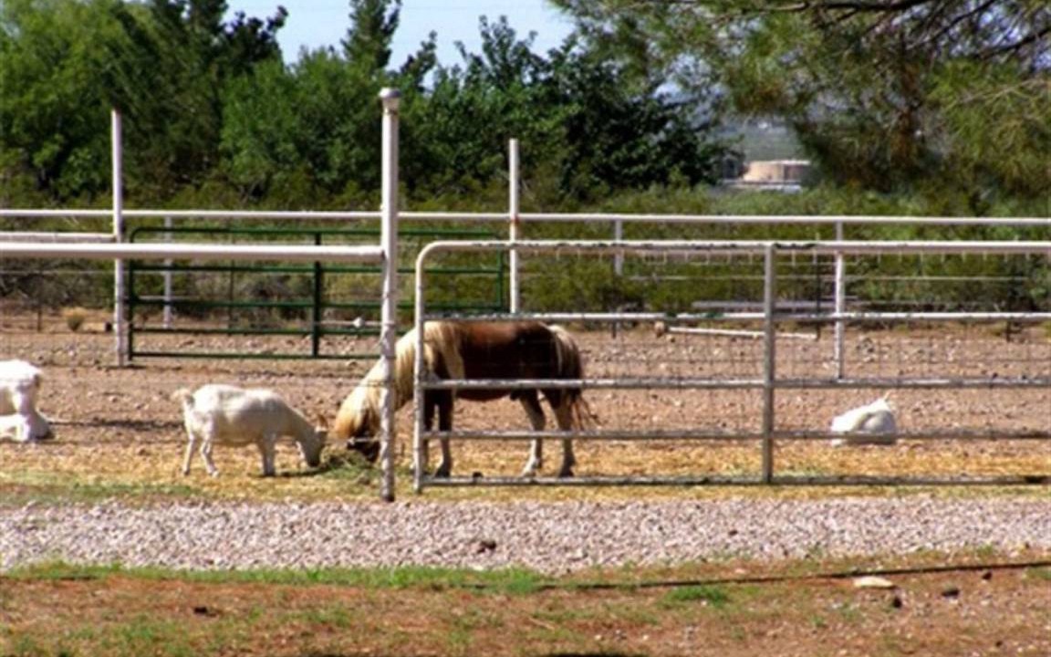 Photo of Others in Boles Acres