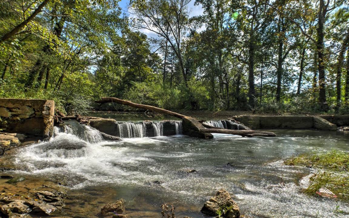 Photo of Others in Ooltewah