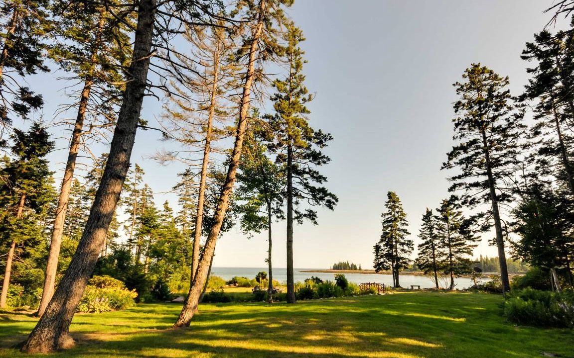 Photo of Buildings in Prospect Harbor