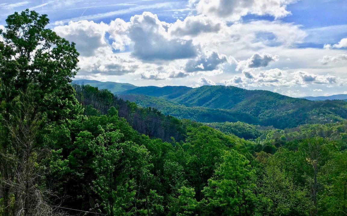 Photo of Others in Gatlinburg - Pigeon Forge