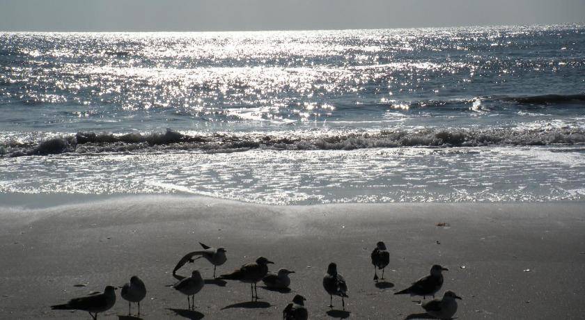 Photo of Others in Ventnor City