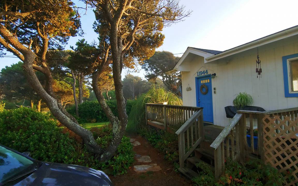 Photo of Others in Seal Rock