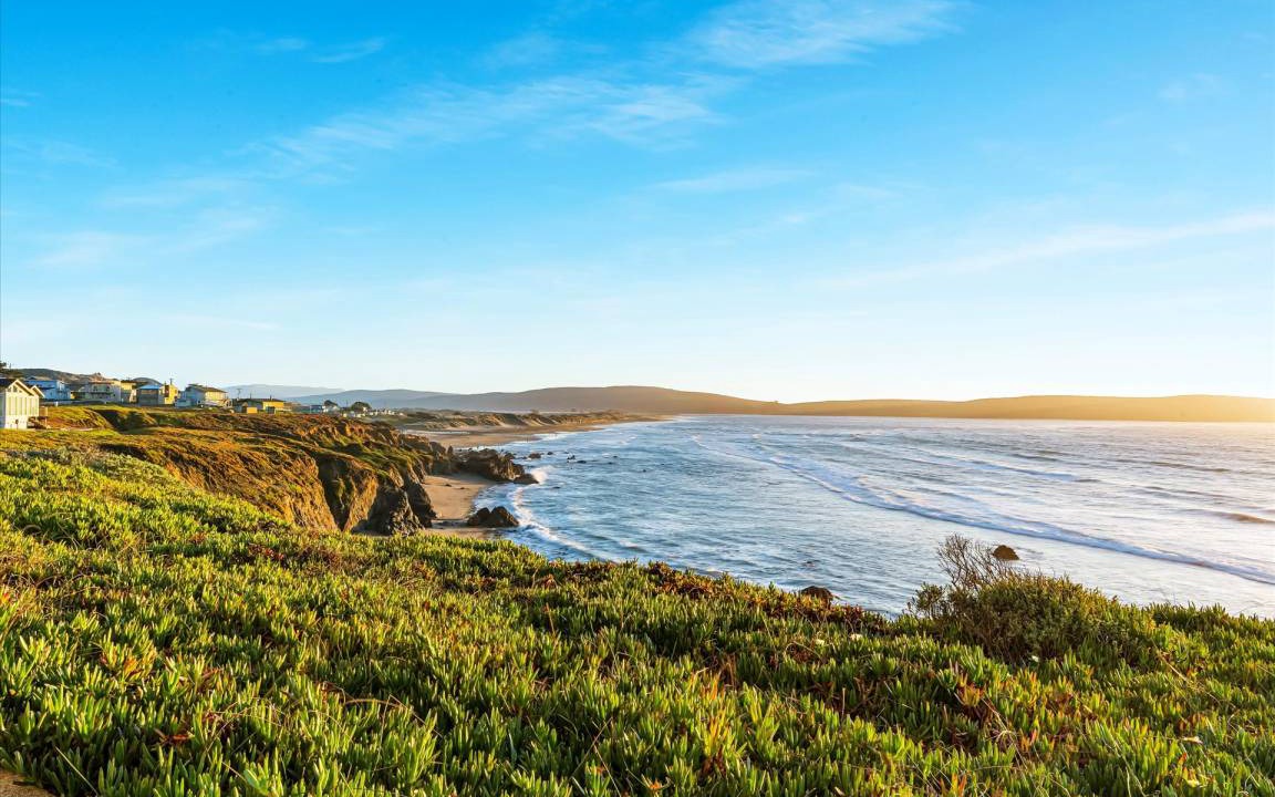 Photo of Others in Dillon Beach