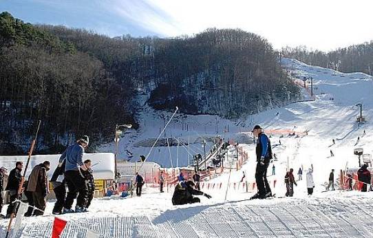 Photo of Others in Gatlinburg