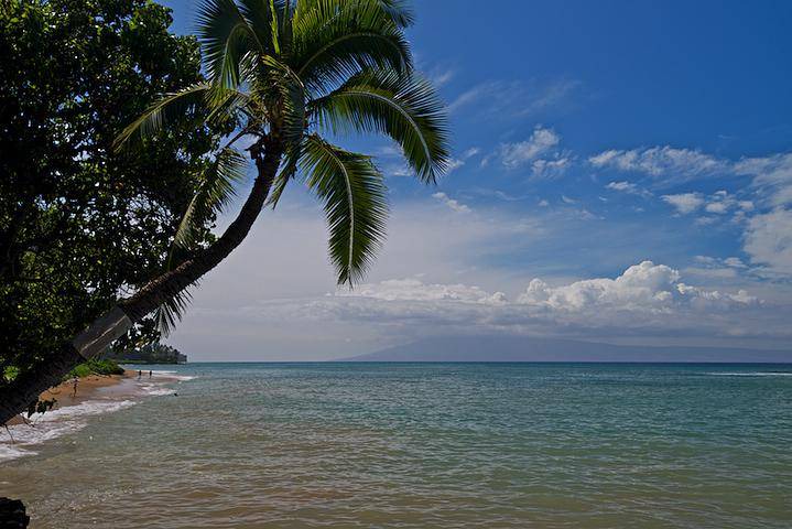 Photo of Others in Kahana