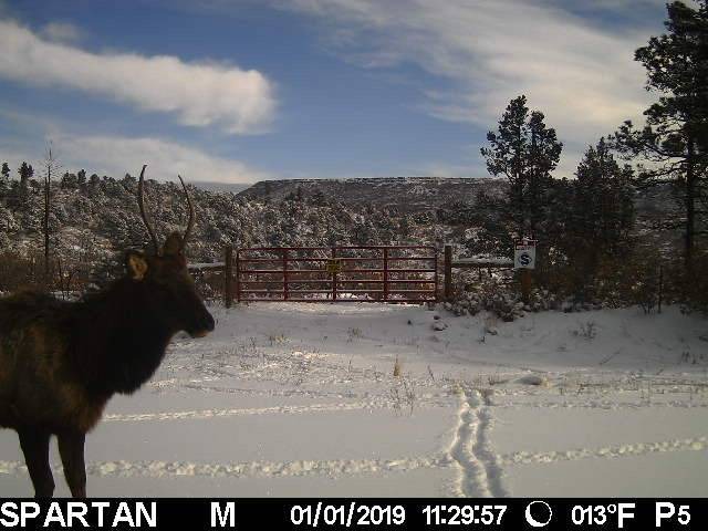 Photo of Others in Raton