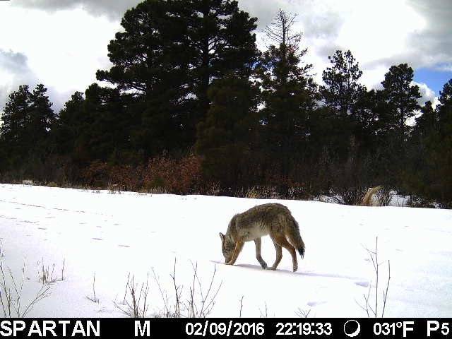 Photo of Others in Raton