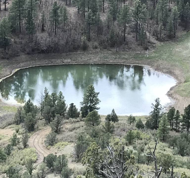 Photo of Outdoor in Raton