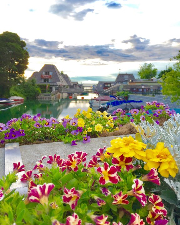 Photo of Outdoor in Leland