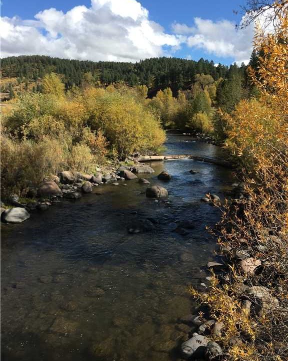 Photo of Outdoor in Pagosa Meadows IV