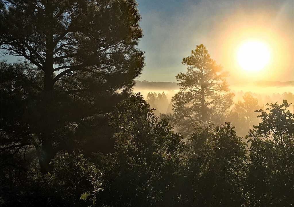 Photo of Others in Pagosa Meadows IV