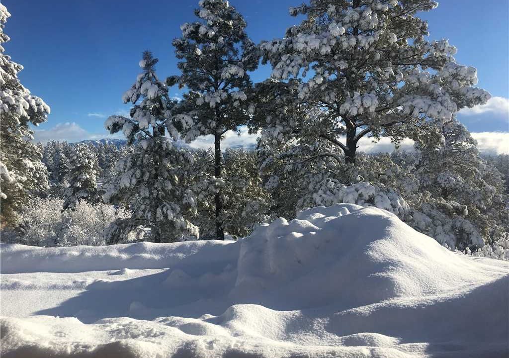 Photo of Others in Pagosa Meadows IV