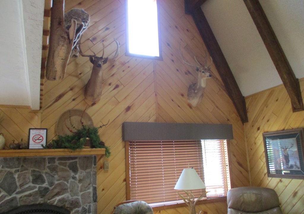 Photo of Livingroom in Ponderosa Pines