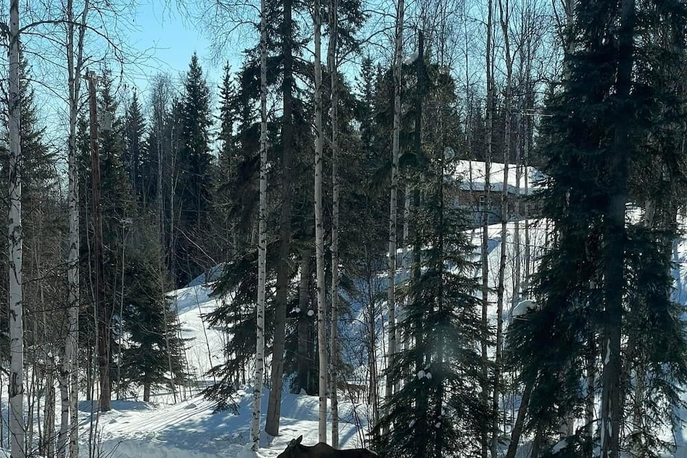 Photo of Others in Fairbanks