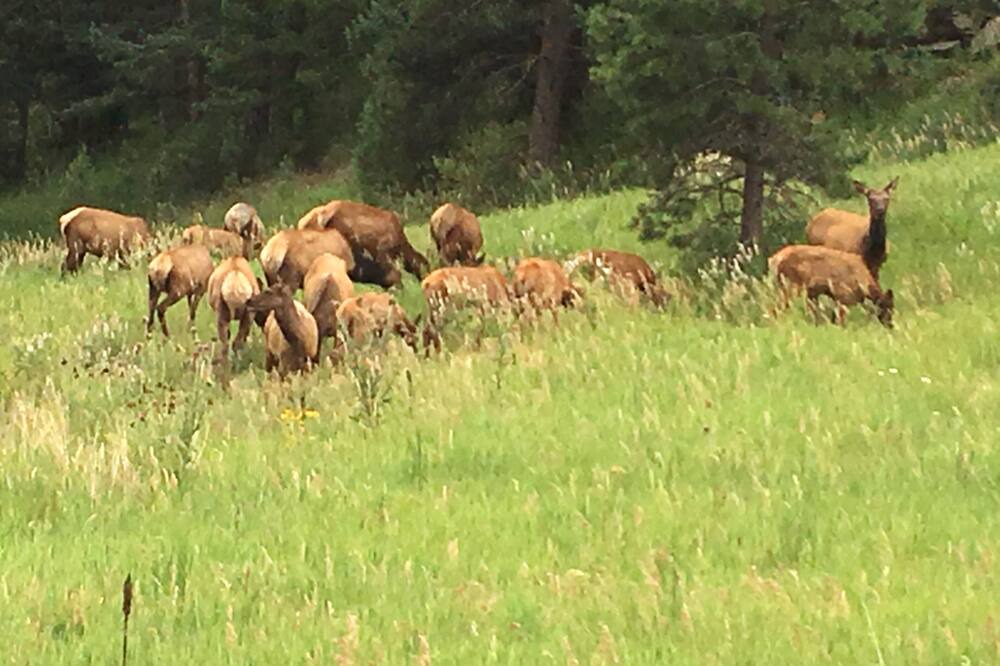 Photo of Outdoor in Kerr Gulch