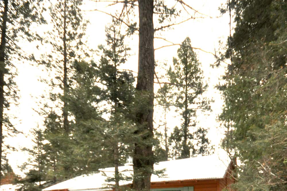 Photo of Outdoor in Cloudcroft