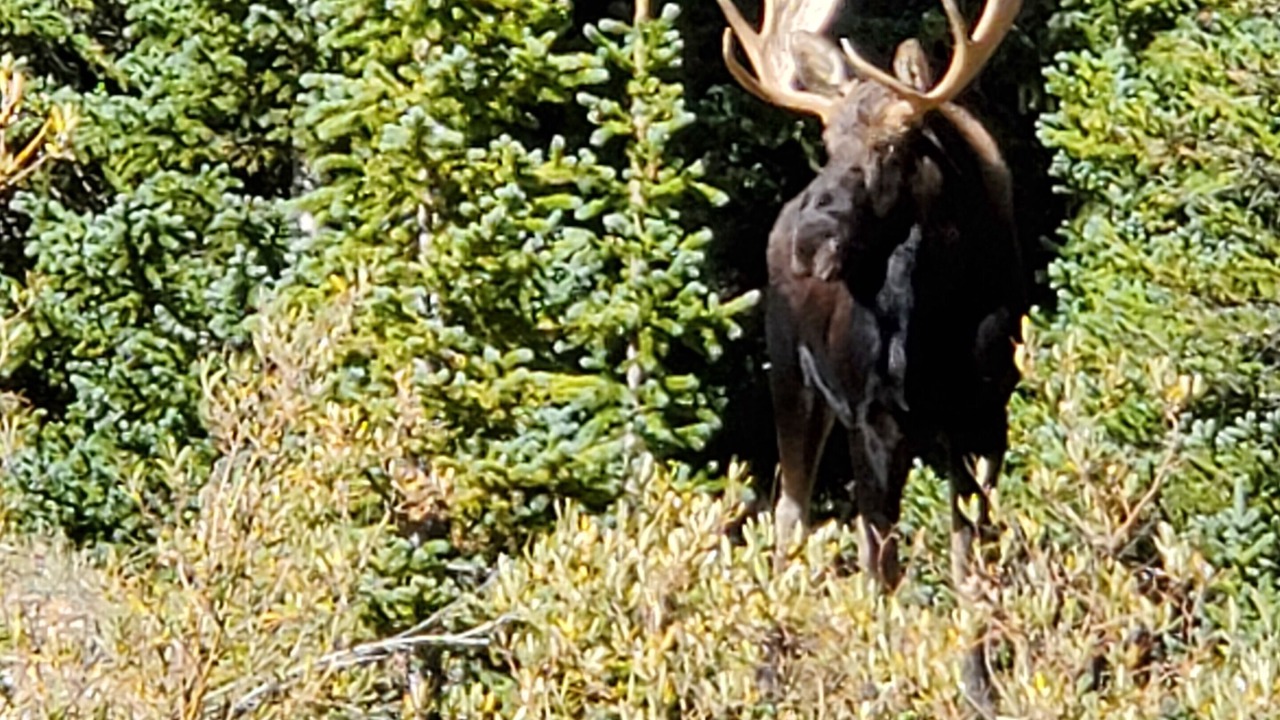 Photo of Others in Warm Springs
