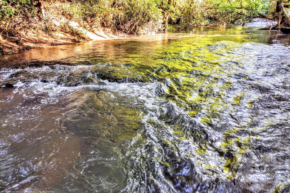 Photo of Outdoor in Lewisburg