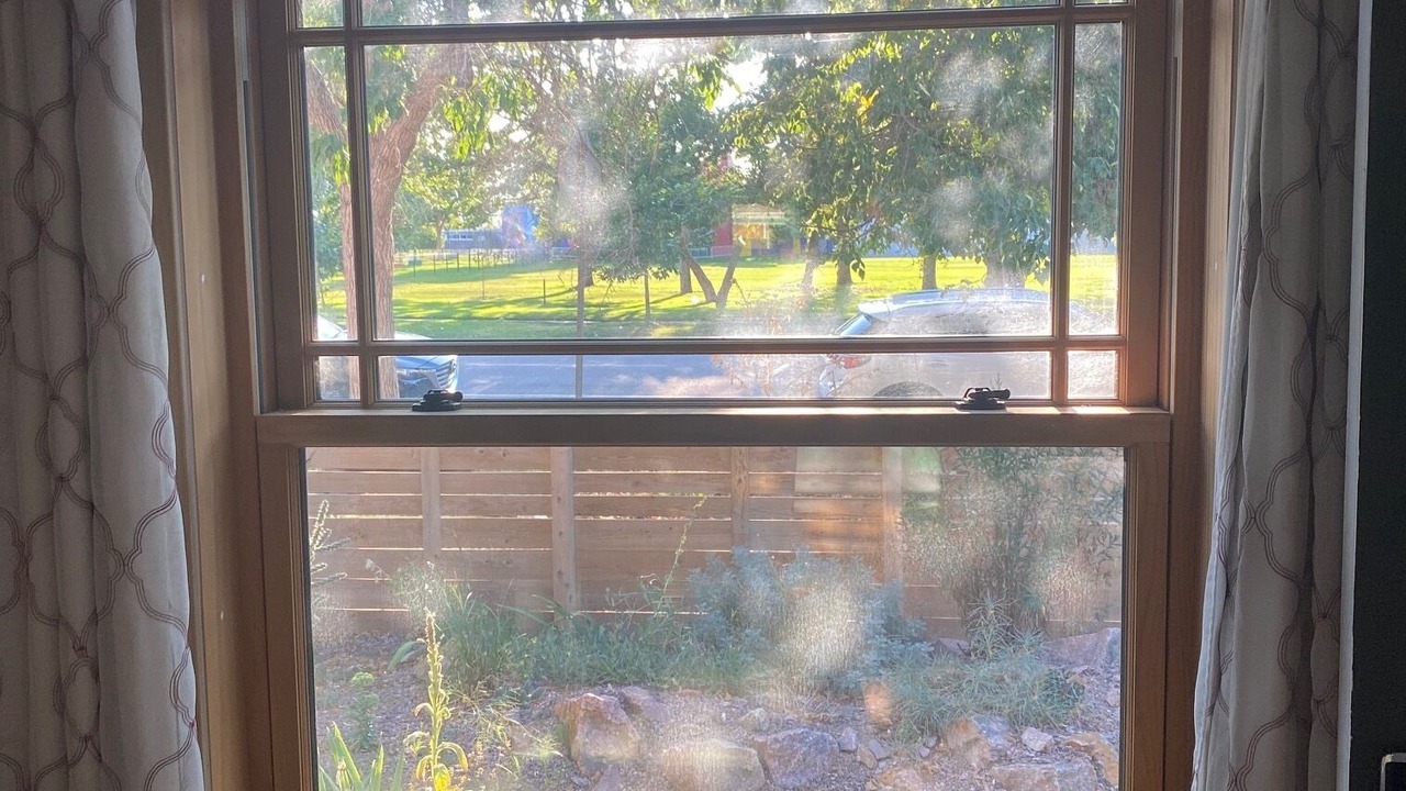 Photo of Others in Lincoln Park