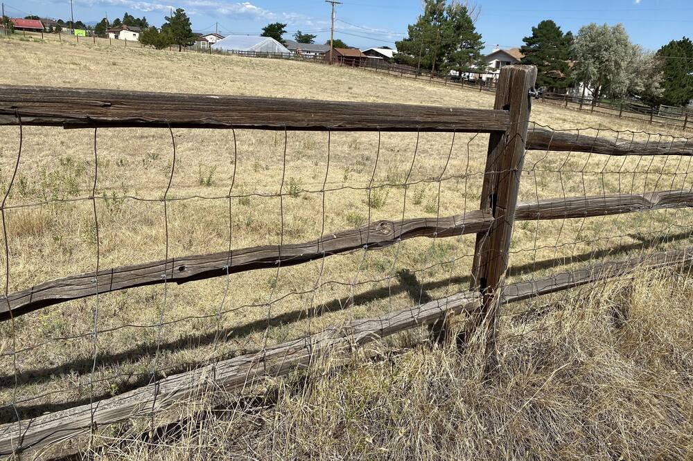Photo of Others in Parker