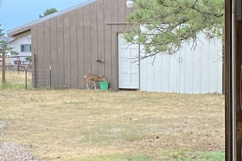 Photo of Others in Parker