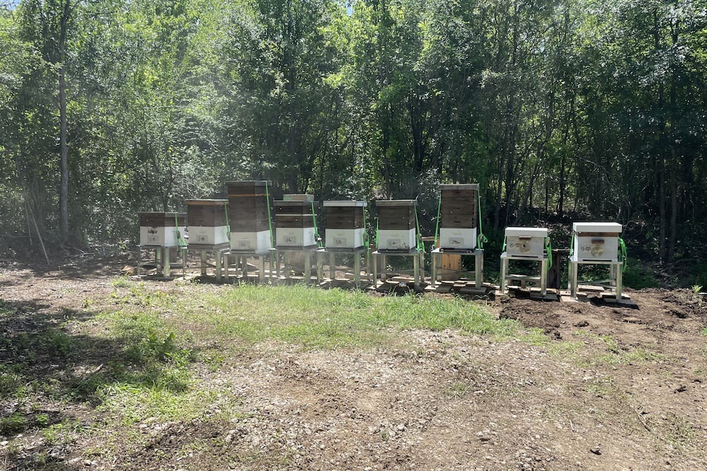 Photo of Outdoor in Bryan