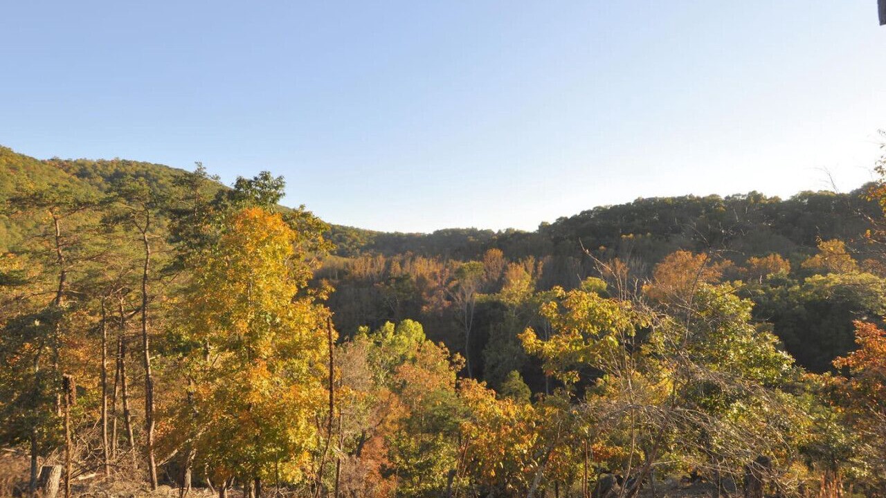 Photo of Outdoor in Great Cacapon