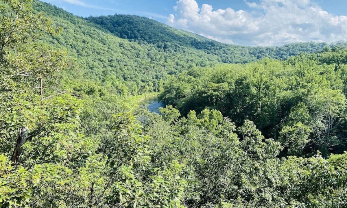 Photo of Others in Great Cacapon