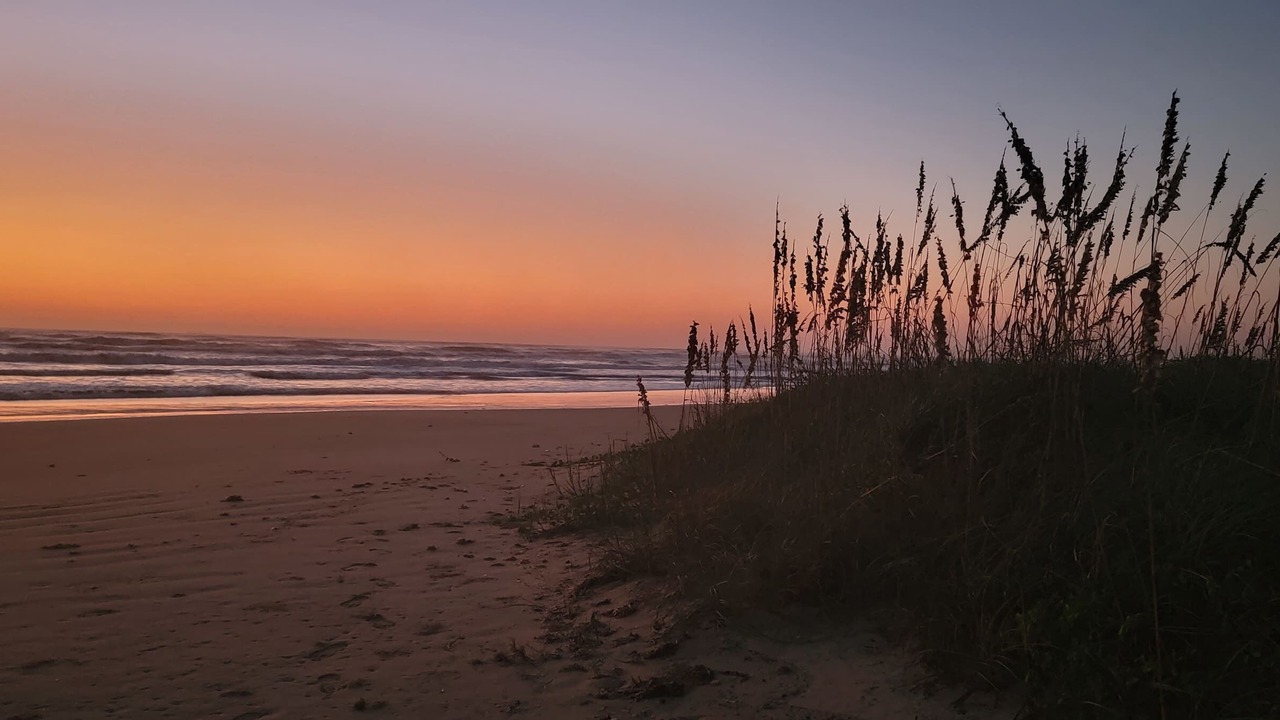 Photo of Others in South Padre Island