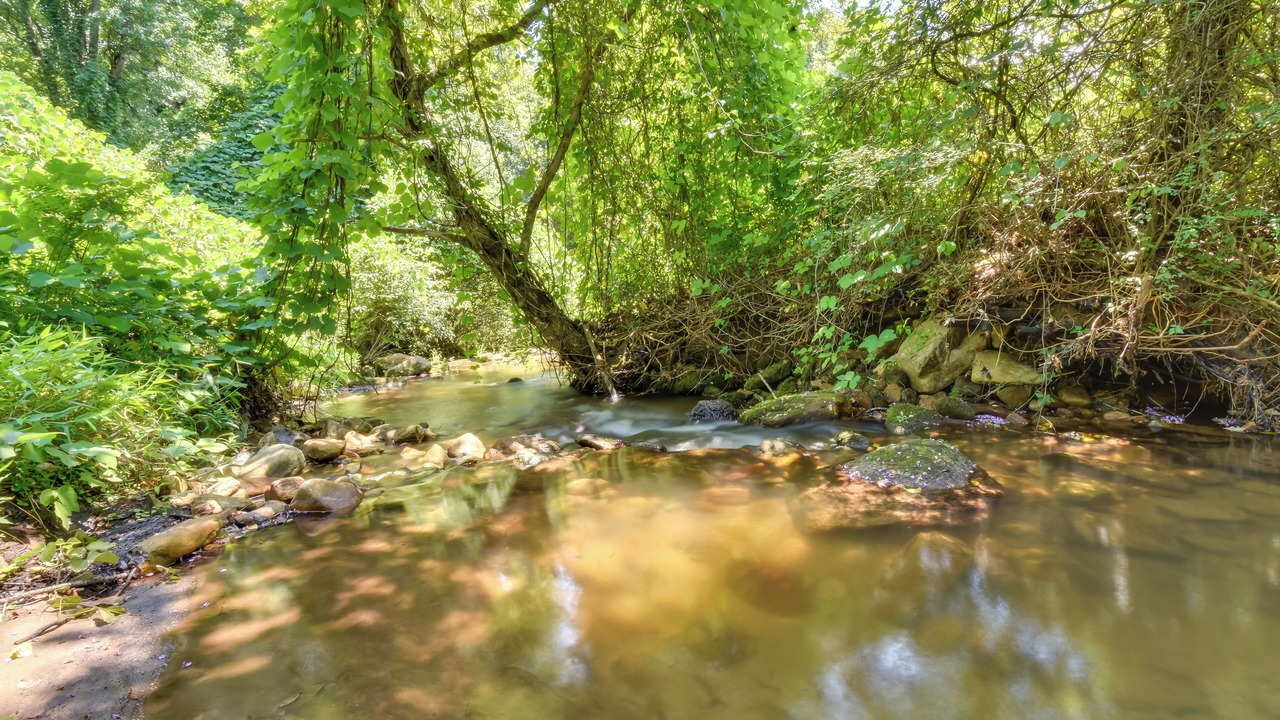 Photo of Others in Rocky Bottom