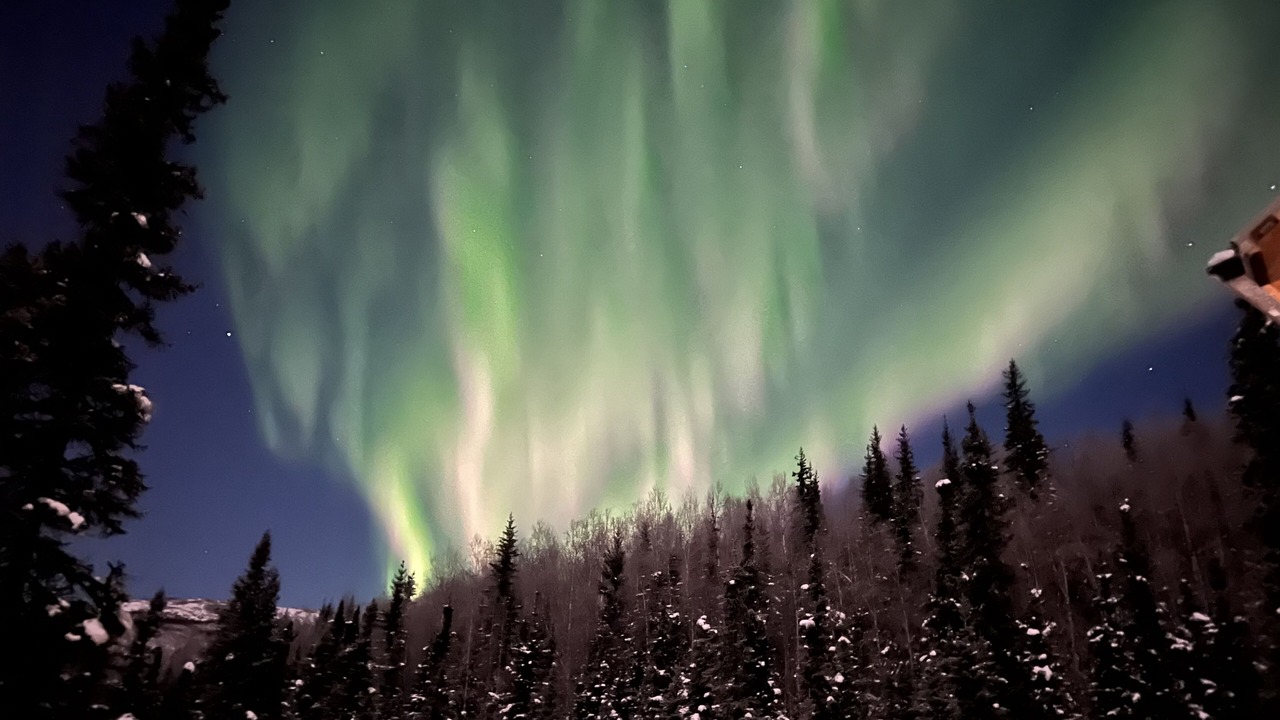 Photo of Others in Fairbanks