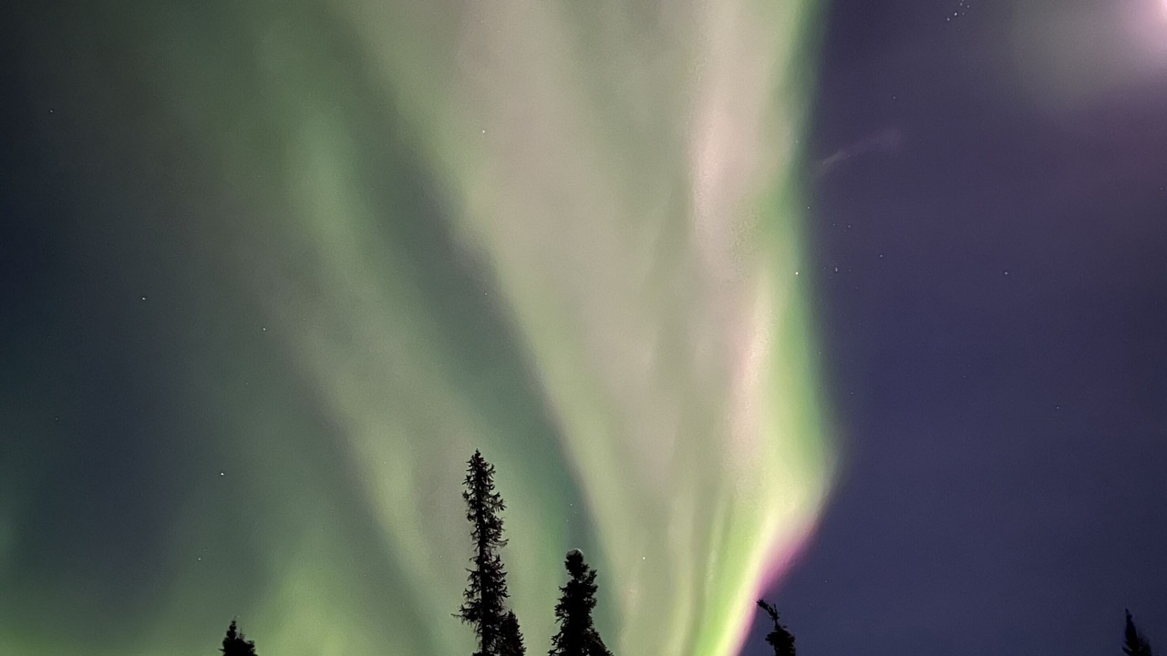 Photo of Others in Fairbanks
