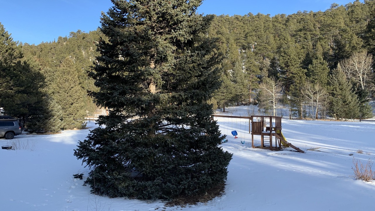 Photo of Outdoor in Lyons