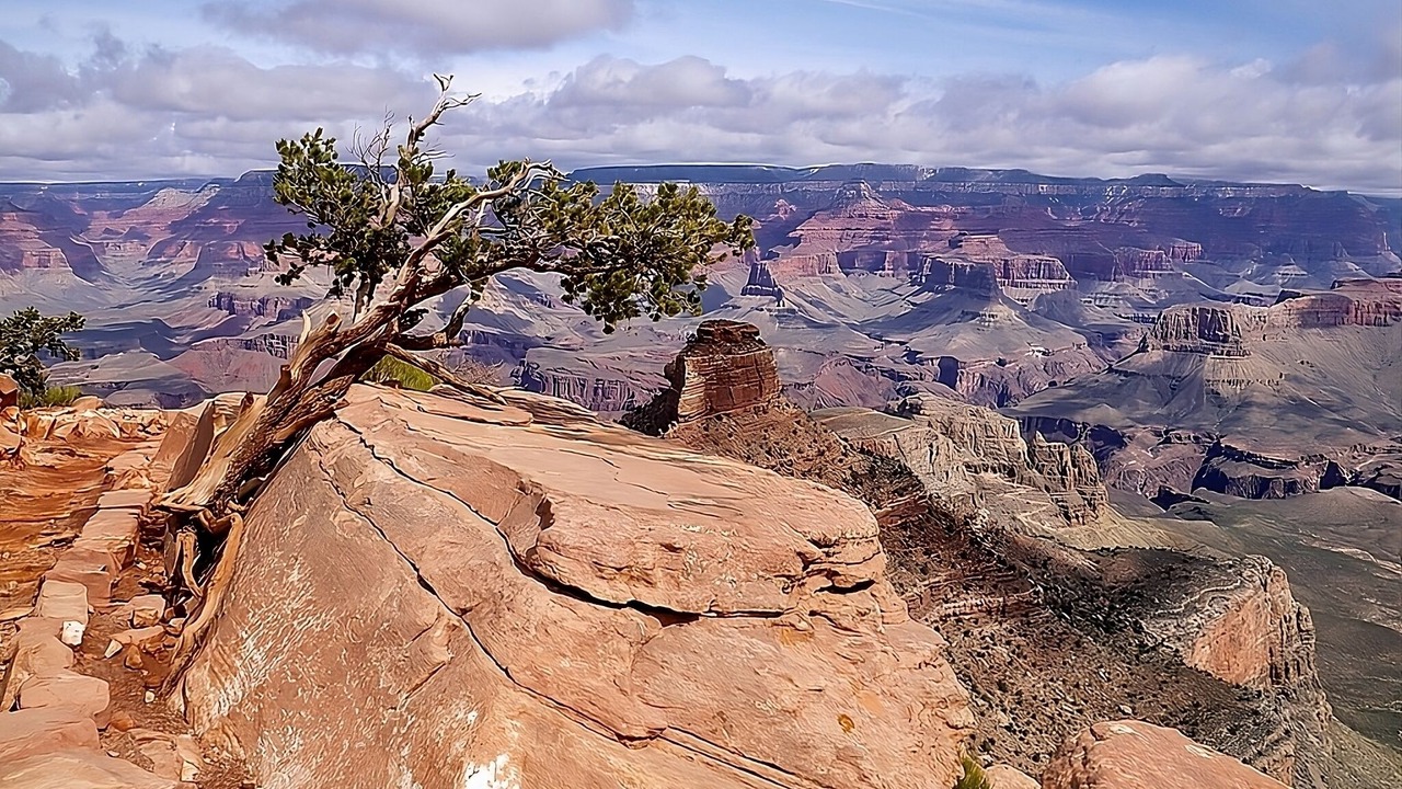 Photo of Outdoor in Tusayan