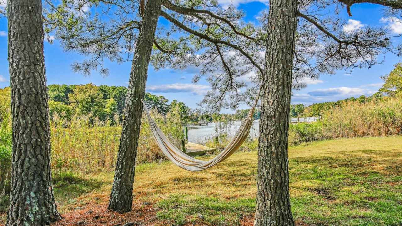 Photo of Outdoor in Unionville