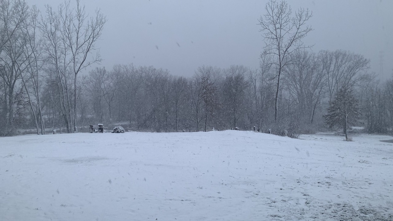 Photo of Others in Bridgman