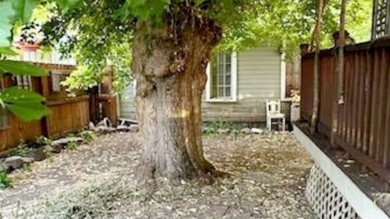 Photo of Outdoor in Glenwood Springs